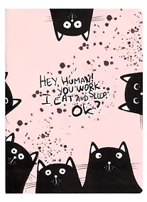 Купить Тетрадь в клетку Be Smart, "Hey human. Коты", 48 листов — Фото №1
