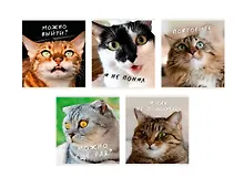 Купить Тетрадь в клетку Listoff, "Котики", 96 листов — Фото №1