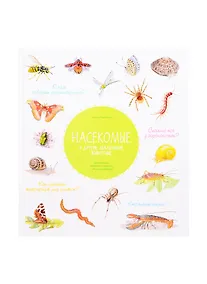 Купить Насекомые и другие маленькие животные — Фото №1