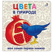 Купить Книжки-картонки. Цвета в природе — Фото №1