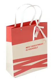 Купить Пакет А4 32*26*12.5 "Best investment in yourself" нейтр., бум.мат.ламинат — Фото №1