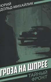 Купить Гроза на Шпрее — Фото №1