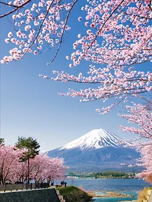 Купить 1000 лучших мест планеты, которые нужно увидеть за свою жизнь. 4-е изд. испр. и доп. (стерео-варио сакура) — Фото №1