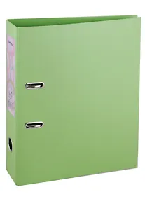 Купить Папка архивная А4 "Spring" фисташковая — Фото №1