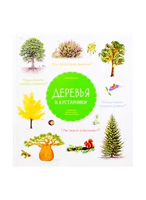 Купить Деревья и кустарники — Фото №1