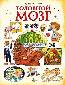 Купить Головной мозг — Фото №1