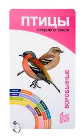 Купить Птицы Среднего Урала. Воробьиные и неворобьиные. — Фото №1