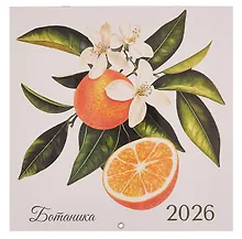 Купить Календарь 2026г 290*290 "Ботаника" настенный, на скрепке — Фото №1