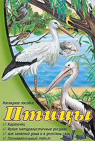 Купить Птицы: набор карточек — Фото №1