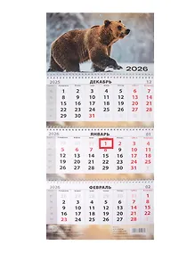 Купить Календарь квартальный 2026г 297*695 "Дикие и свободные" настенный, трёхблочный, спираль — Фото №1