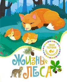 Купить Жизнь леса — Фото №1