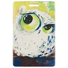 Купить Чехол для карточек Сова на зеленом фоне — Фото №1