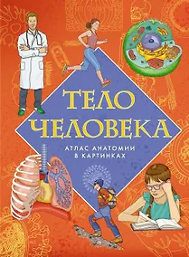 Купить Тело человека. Атлас анатомии в картинках — Фото №1