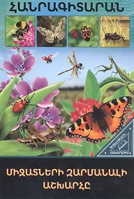 Купить В мире знаний. Удивительный мир насекомых (на армянском языке) — Фото №1