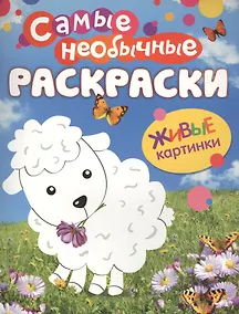 Купить Самые необычные раскраски. Овечка — Фото №1
