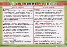 Купить Учебные плакаты. Русский язык. Гласные после шипящих и Ц. Правописание — Фото №1