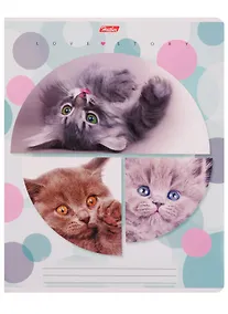 Купить Тетрадь в клетку Hatber, "Веселый горошек", 24 листа, в ассортименте — Фото №1