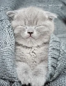 Купить Дневник для средних и старших классов Listoff, "Уютный котик" — Фото №1