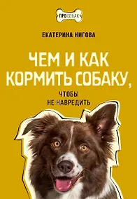Купить Чем и как кормить собаку, чтобы не навредить — Фото №1