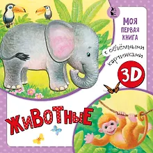 Купить Животные — Фото №1