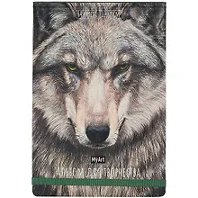 Купить Скетчбук 205*300 64л "Волк" белый офсет, 120г/м2, тв.обложка, резинка — Фото №1