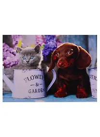 Купить Алмазная мозаика квадратная 30х40 (класс.) (32 цв.) Милые домашние питомцы. ( Арт. F4-033) — Фото №1