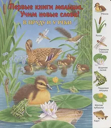 Купить В пруду и у реки — Фото №1