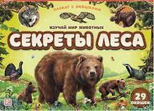 Купить Плакат с окошками. Секреты леса — Фото №1