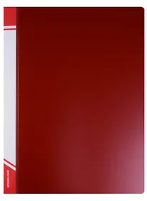 Купить Папка А4, 100 файлов — Фото №1