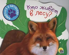 Купить Кто живет в лесу — Фото №1