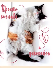 Купить Тетрадь в клетку Listoff, "Погладь котика", 48 листов, в ассортименте — Фото №1