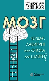 Купить Мозг: чердак, лабиринт или опора для шляпы? — Фото №1