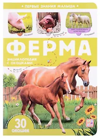 Купить Ферма: книжка с окошками — Фото №1