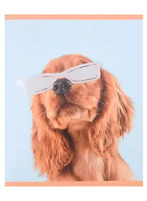 Купить Тетрадь в клетку Listoff, "Стиляги", 48 листов, в ассортименте — Фото №1