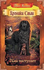 Купить Тьма наступает — Фото №1