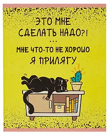 Купить Тетради А5 48л кл. "День кота" выб.лак с черн.пигментом (термоподъем), скрепка, офсет — Фото №1