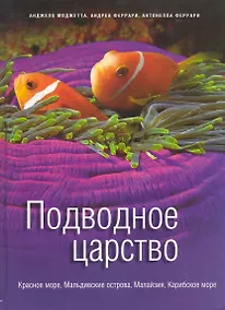 Купить Подводное царство. Красное море, Мальдивские острова, Малайзия, Карибское море — Фото №1