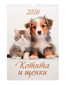 Купить Календарь 2026г 320*480 "Котята и щенки" настенный, на спирали — Фото №1