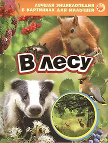 Купить В лесу — Фото №1