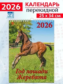 Купить Календарь 2026г 250*345 «Год лошади.Жеребята» настенный, на спирали — Фото №1