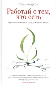 Купить Работай с тем, что есть. Руководство по сострадательной жизни — Фото №1