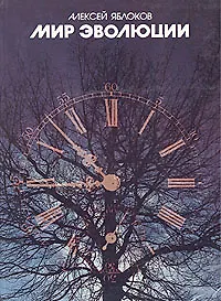 Купить Мир эволюции — Фото №1