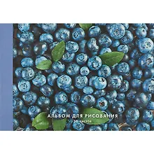 Купить Альбом для рисования Listoff, "Голубика", А4, 30 листов, на склейке — Фото №1