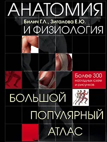 Купить Анатомия и физиология. Большой популярный атлас — Фото №1