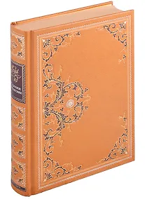 Купить Стрелки в Мексике — Фото №1