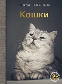 Купить Кошки — Фото №1