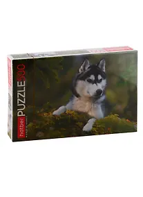 Купить Пазл HATBER 500 эл. 460х340мм.Любимец — Фото №1