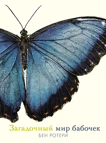 Купить Загадочный мир бабочек — Фото №1