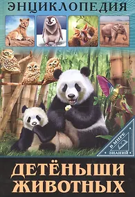 Купить ЭНЦИКЛОПЕДИЯ. В МИРЕ ЗНАНИЙ. ДЕТЁНЫШИ ЖИВОТНЫХ — Фото №1