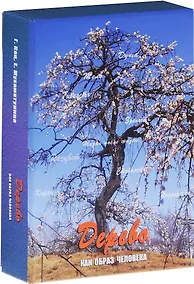 Купить Дерево как образ человека Метафорические карты (12+) Кац (коробка) (упаковка) — Фото №1